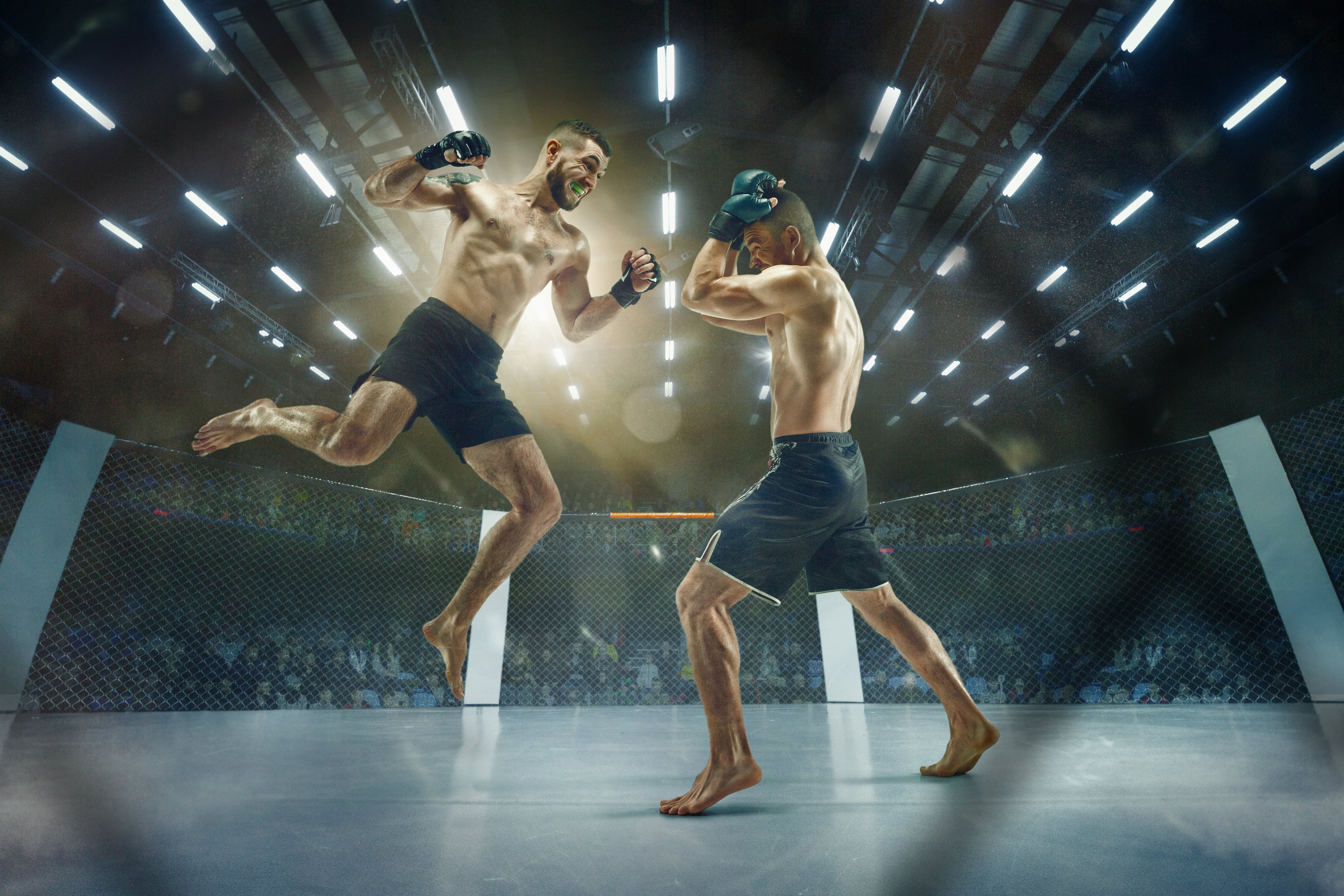 Titelbild für Mixed Martial Arts