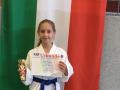 Taekwon-do Turnier in Höxter