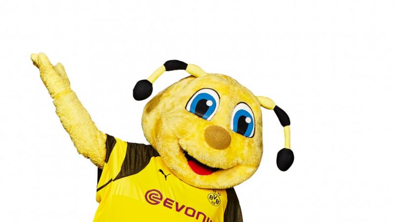 BVB Maskottchen EMMA kommt zum budokan