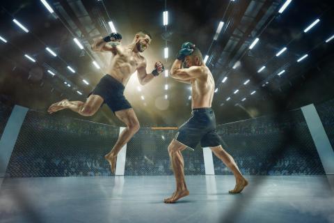 Titelbild für Mixed Martial Arts